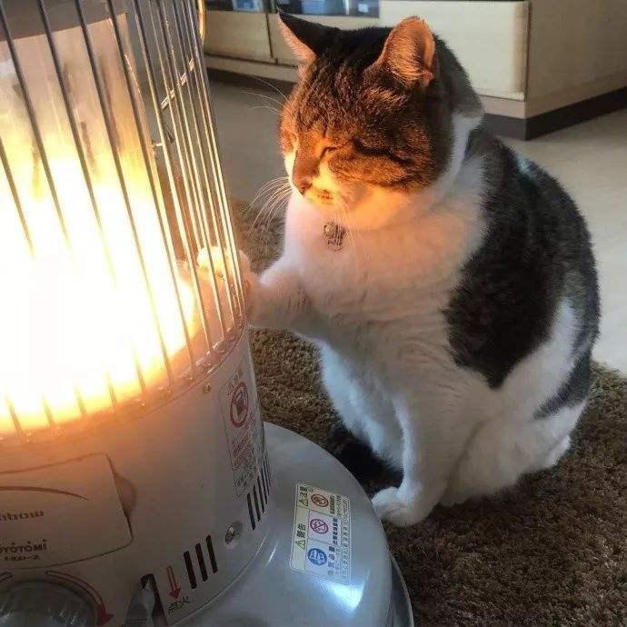 为什么说冬季采暖室温不超过22℃最舒适最健康?(图5) 为什么说冬季采暖室温不超过22℃最舒适最健康?(图5)