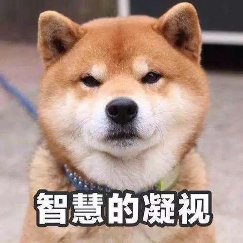 为什么说冬季采暖室温不超过22℃最舒适最健康?(图6) 为什么说冬季采暖室温不超过22℃最舒适最健康?(图6)